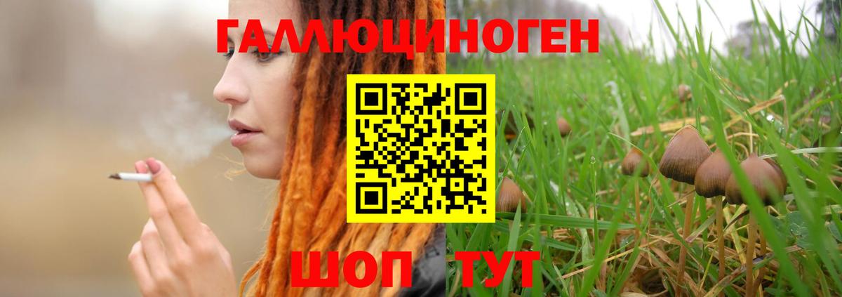 Ялта  наркотики  Вход с VPN  Галлюциногенные грибы прущие грибы 