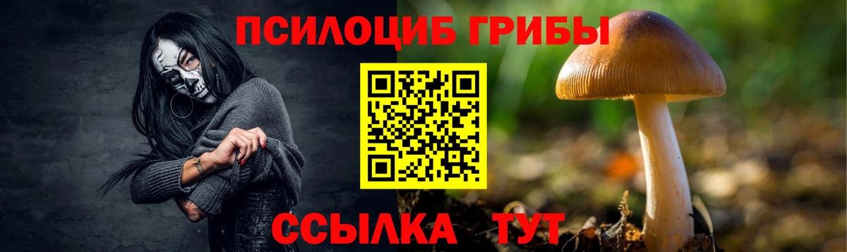 Псилоцибиновые грибы Magic Shrooms Ялта